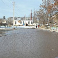 Василиса – вешней воды указательница! :: Андрей Заломленков