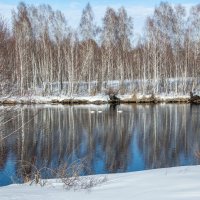 Запахло весной :: владимир 