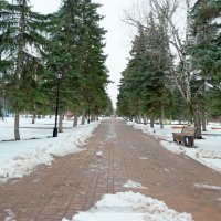 В мартовском парке.. :: Андрей Заломленков