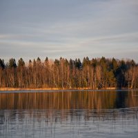 Ах, почему теплее и светлее...на другой стороне:)? :: liudmila drake