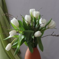 Белые тюльпаны. :: Нина Сироткина 