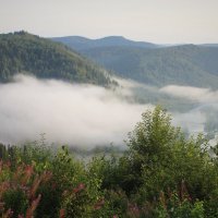Утренний вид в долину :: Сергей Чиняев 
