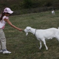 Настя и коза :: ZNatasha -