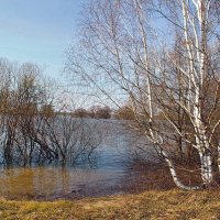 Запахло небо влажной синевой... :: Лесо-Вед (Баранов)