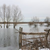 Река встречает половодье. :: Ирина Нафаня
