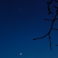 Венера и Луна :: Alisa Koteva 