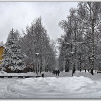Падал последний в феврале снежок...) :: Юрий Ефимов