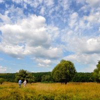 В лугах :: Диана Задворкина