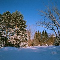 На прогулке :: Андрей Еремеев