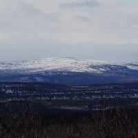 . :: Ярослав Савченко