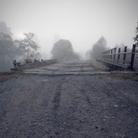 Холодное утро окутанное туманом :: Андрей Хлопин