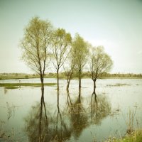 Большая вода :: Юлия Куликовская