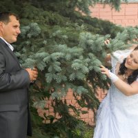 свадьба :: Дмитрий Жарков