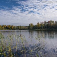 Моя Вологодчина :: Борис Устюжанин