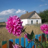 В Белоруси. :: Надежда Судакова