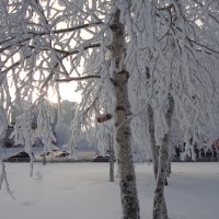 зима :: Ekaterina 