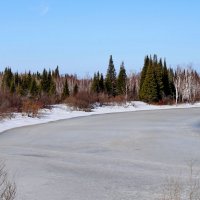 И речка подо льдом блестит. :: Галина Кан