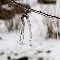 Пальцы зимы :: Вадим 