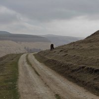 Дорога в ущелье :: M Marikfoto