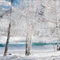 Алтайские кружева :: Влад Соколовский