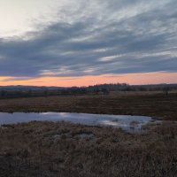 Вечерком на озерце ... :: Евгений Хвальчев