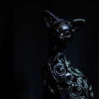 iron cat :: serg 