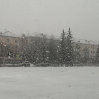 Снегопад в Чебаркуле... :: Дмитрий Петренко