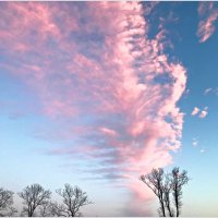 Розовые облака. :: Валерия Комова
