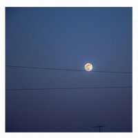 Луна на проводе ( вторая линия ) :: Алексей 