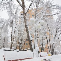 Воспоминания ушедшей зимы. :: юрий Амосов