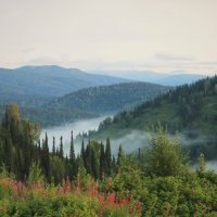 Тает последний туман :: Сергей Чиняев 