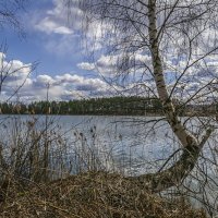 На озере :: Сергей Цветков