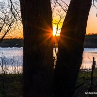 закат на пруду :: Александр Богатырёв