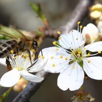 Пошла работа... :: Валентин Родоманов