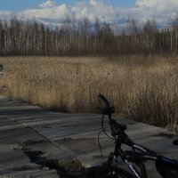 окологородской пейзаж с велосипедами :: sv.kaschuk 