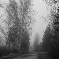Апрельский туман :: Геннадий Федоров