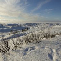 2018, Северодвинск, Ягры, Белое море, зима :: Владимир Шибинский