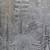 В этот день - 22.04.15 - возврат зимы!... Вот это снегопад!... :: Лидия Бараблина