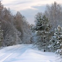 Зимняя тропика :: Дмитрий Конев