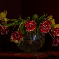 Тюльпаны :: Lyudmyla Pokryshen