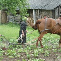 Время надежд :: олег свирский 