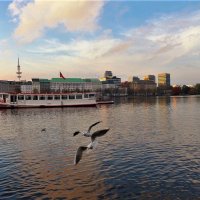 Alster Hamburg :: Nina Yudicheva