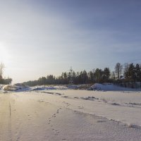 . :: Дима Пискунов