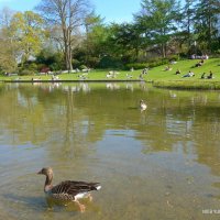 Planten un Blomen Hamburg :: Nina Yudicheva