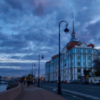 Питер. Петроградская набережная :: Владимир Барышев