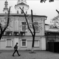 деревья шагают стоя :: Айдимир .