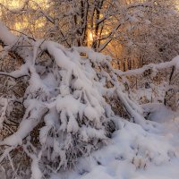 Замело... :: Владимир Чикота 