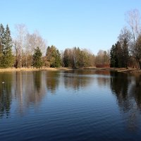 Павловск :: Наталья Герасимова