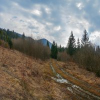 В Карпатах. :: Юрий Гординский