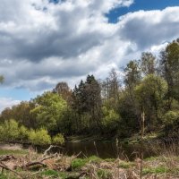 Май :: Владимир Безбородов